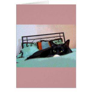 Lounging Lucy Comic Book