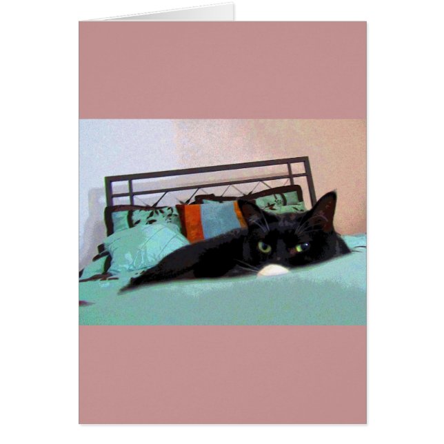 Lounging Lucy Comic Book (Frente)