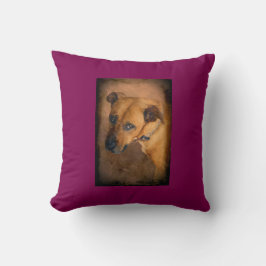 Love Me Do Cojín decorativo