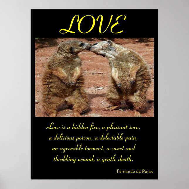 LOVE Posters Animal 1 (Frente)