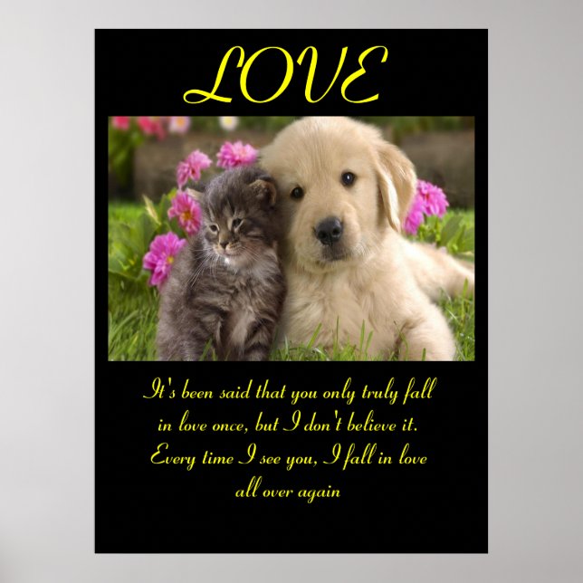 LOVE Posters Animal 1 (Frente)