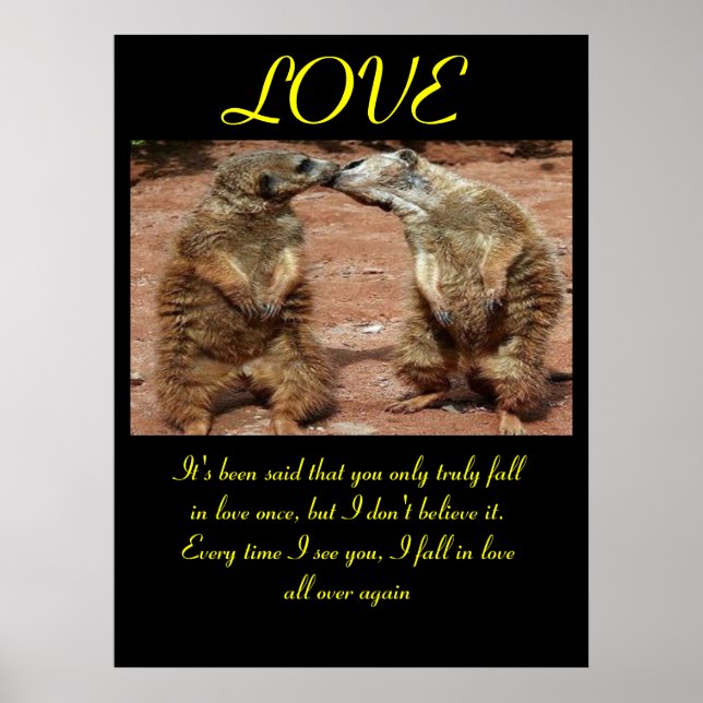 LOVE Posters Animal 2 (Frente)