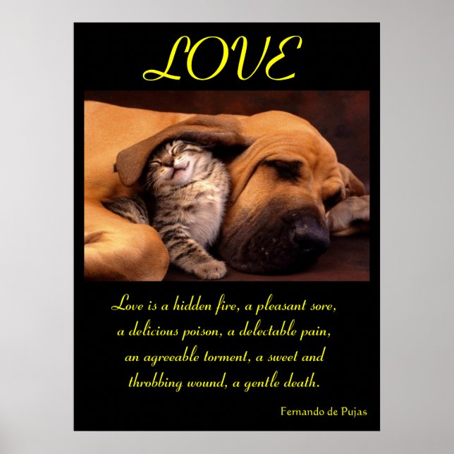 LOVE Posters Animal 2 (Frente)