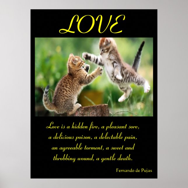 LOVE Posters Animal 3 (Frente)