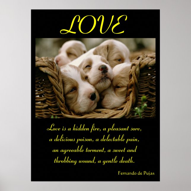 LOVE Posters Animal 4 (Frente)