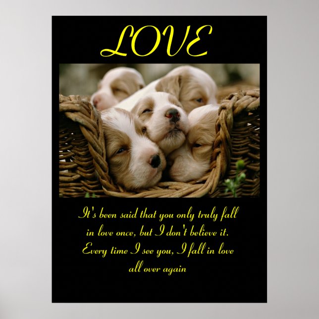 LOVE Posters Animal 5 (Frente)