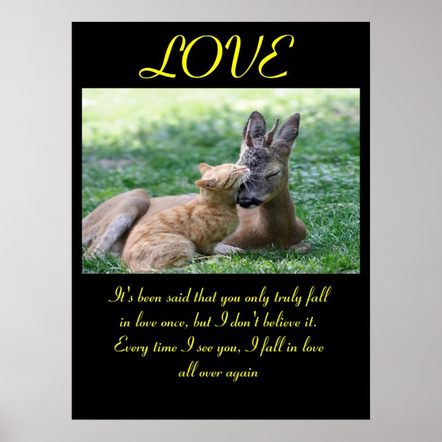 LOVE Posters Animal 7 (Frente)