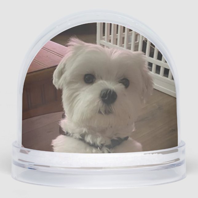 Love them both (Anverso)