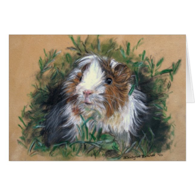 Lovin' lavender Guinea Pig / Cavia (Anverso (Horizontal))