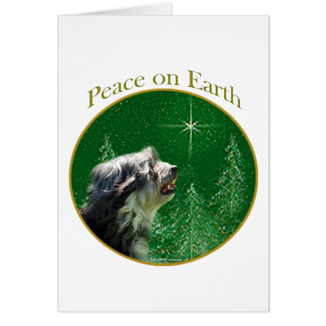 Lowchen Peace (Frente)