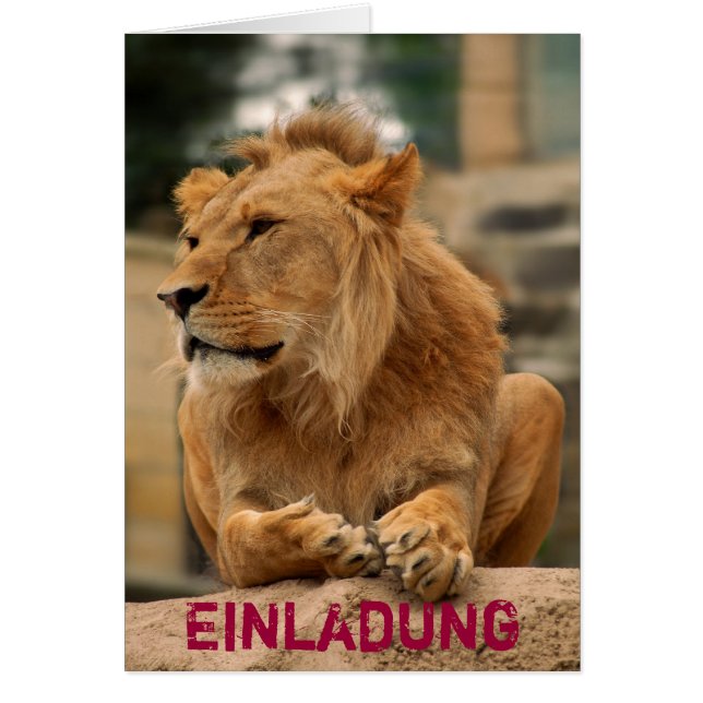 Löwe mit Punkerfrisur (Frente)