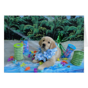 Luau Levi
