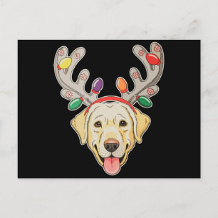 Luces de Navidad Cuerno de Reno Perro Labrador