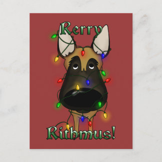 Luces de navidad de Malinois del belga