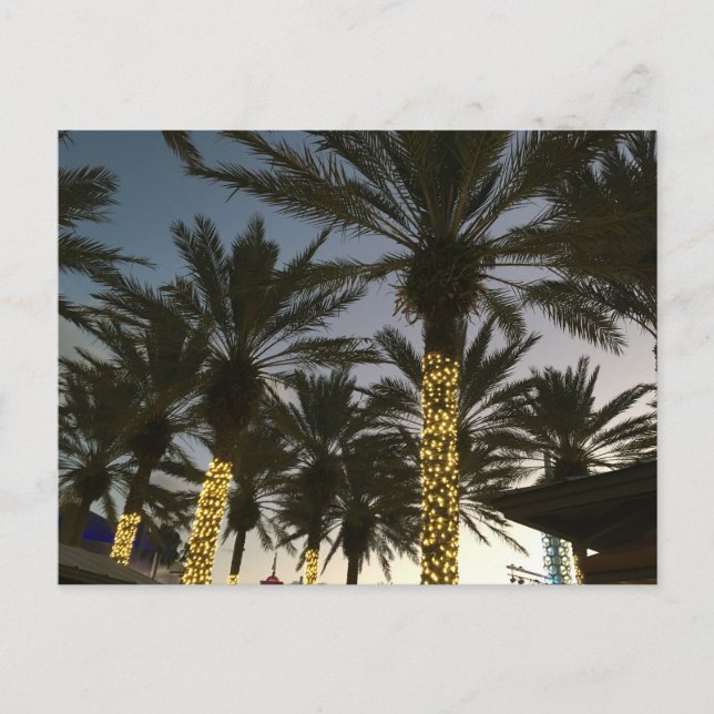 Luces de Navidad de Palma (Anverso)