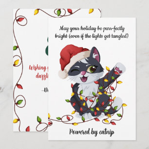 Luces de Navidad enredadas con catnip