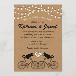 Luces Fiestas con gatos en la invitación a la boda