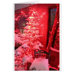 Luces nevadas del árbol de Navidad