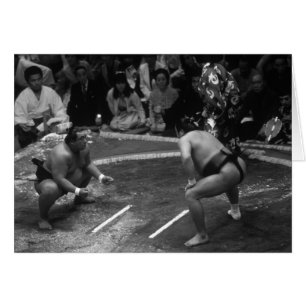 Lucha SUMO
