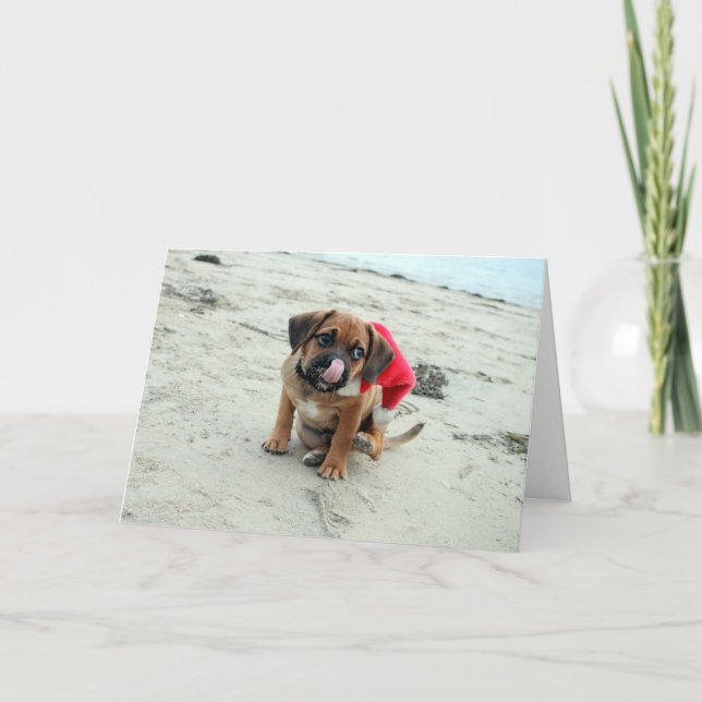 ¡Luchar! Tarjeta de Navidad (Anverso)