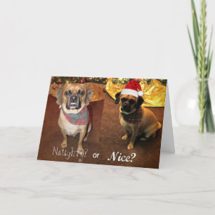 ¡Luchar! Tarjeta de navidad