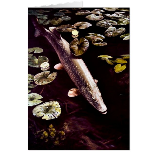 Lucio europeo (Frente)