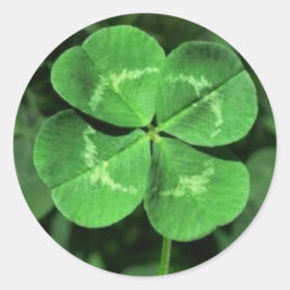 LUCKY CUATRO PEGATINAS DE CULTIVO DE HOJAS