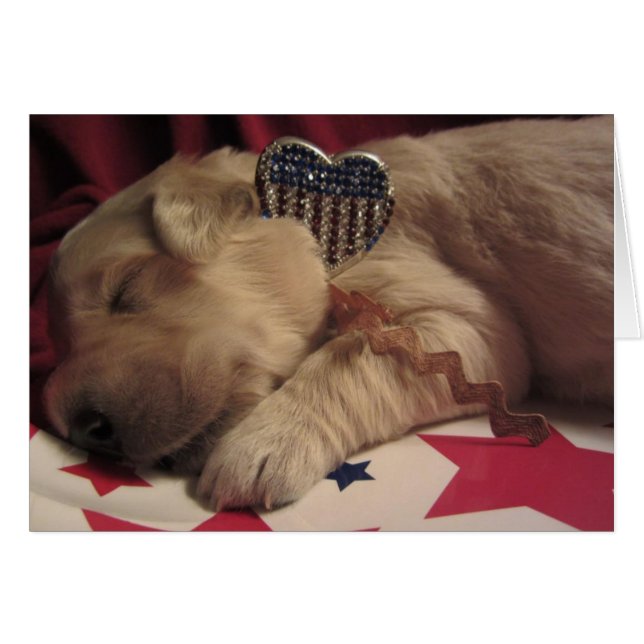 Lucy patriótica (Anverso (Horizontal))