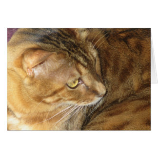 Ludopina de Kishka en oro