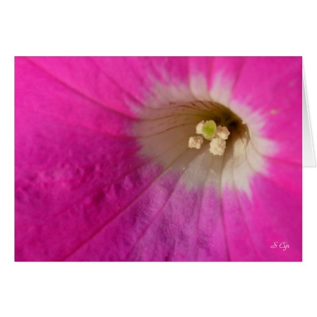 Lugar central, S Cyr (Anverso (Horizontal))