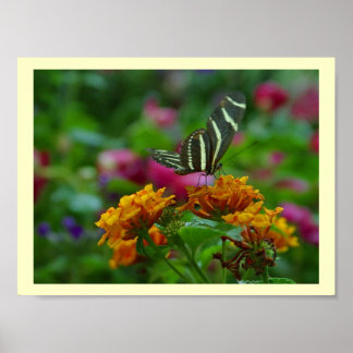 ¡Lugar perfecto! Póster