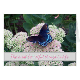 Lugares emergentes para el desafío de la mariposa