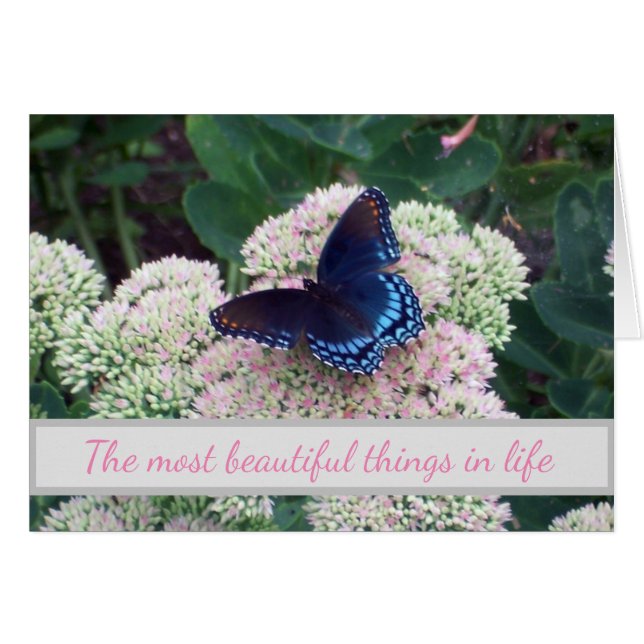 Lugares emergentes para el desafío de la mariposa (Anverso (Horizontal))