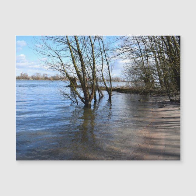 Lugares perdidos , Árboles en la orilla del río (Anverso)