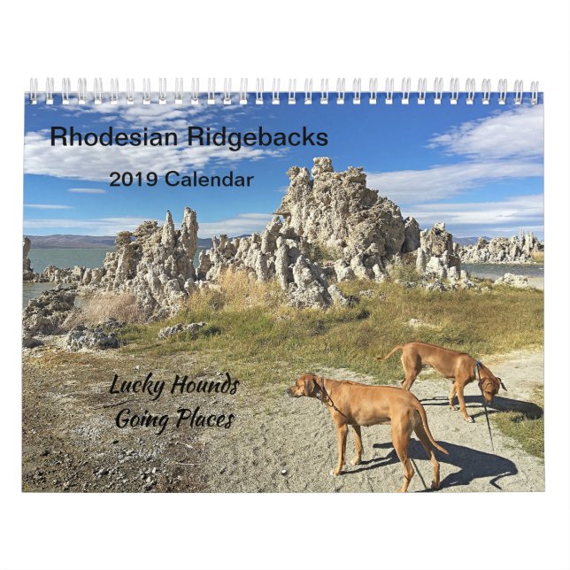 Lugares que van del calendario 2019 de Rhodesian (Tapa)