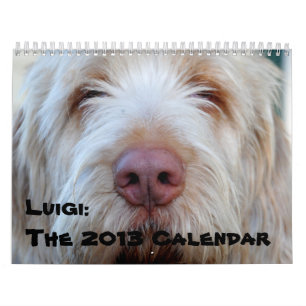 Luigi: El calendario 2013