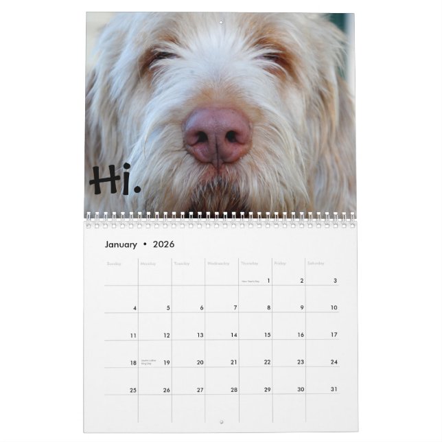 Luigi:  El calendario 2013 (Jan 2026)
