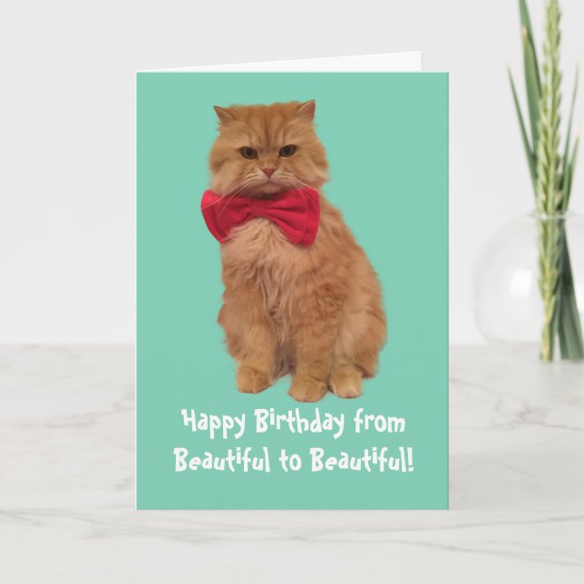 Luigi la tarjeta de cumpleaños del gato del león (Anverso)