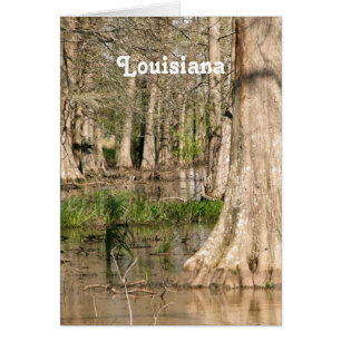 Luisiana Swamp