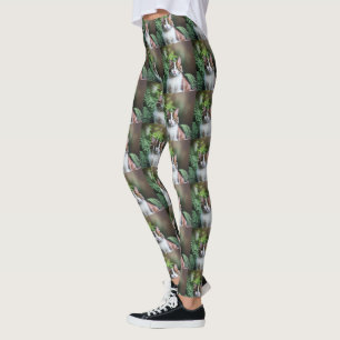 Lulu El Gato Ragdoll, Leggings
