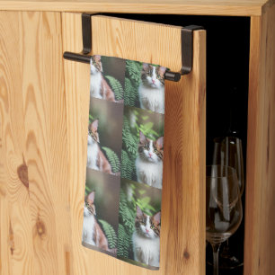 Lulu El Gato Ragdoll, Toalla Dish