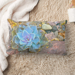 LUMBAR COJÍN DECORATIVO ACCENT LUMBAR, "ROSA CACTUS"