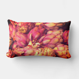 Lumbar Cojín decorativo alimentario