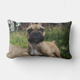 Lumbar Cojín decorativo Bulldog francés