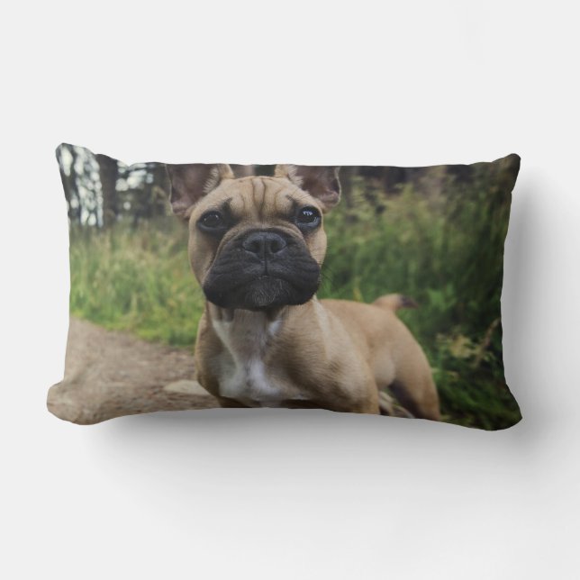 Lumbar Cojín decorativo Bulldog francés (Anverso)