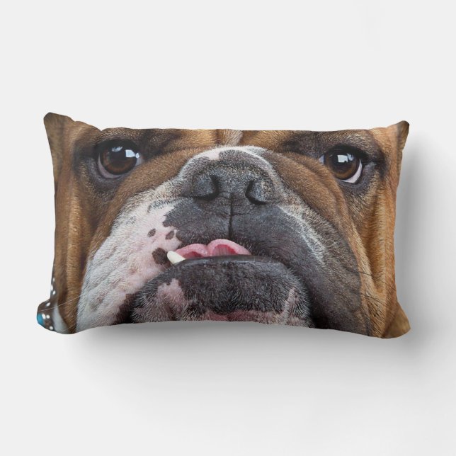 Lumbar Cojín decorativo de Bulldog inglés (Anverso)