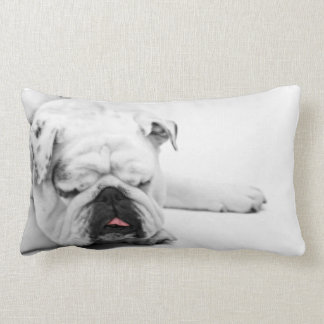 Lumbar Cojín decorativo de la decoración el dormir del