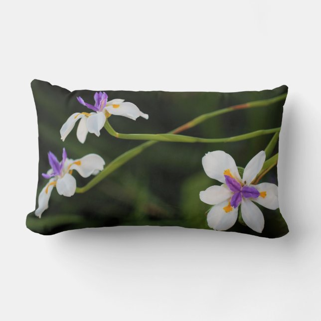 Lumbar Cojín decorativo Iris silvestre / Cushion (Anverso)