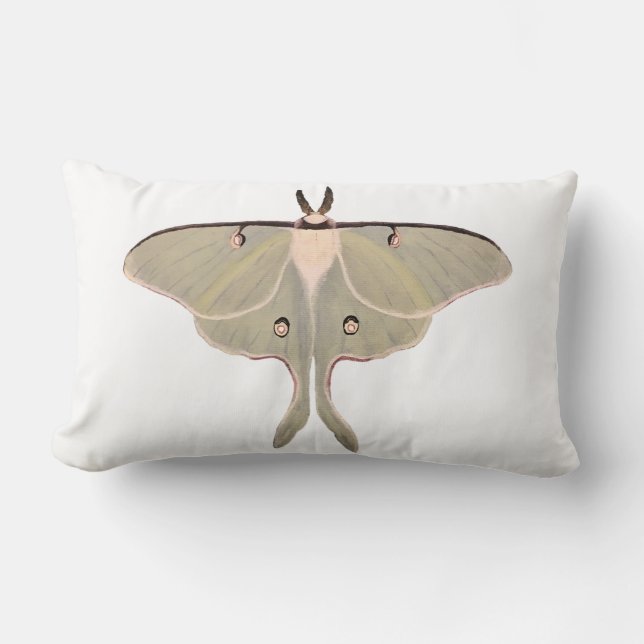 Lumbar Cojín decorativo Luna Moth (Anverso)