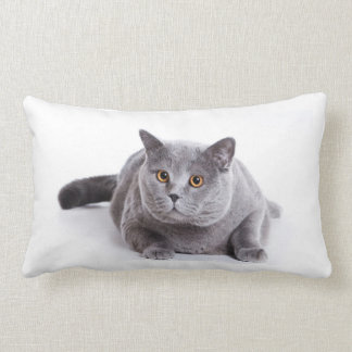Lumbar de la almohada - gato